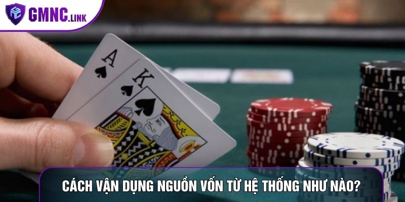 Cách vận dụng nguồn vốn từ hệ thống như nào?