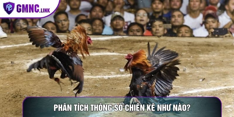 Phân tích thông số chiến kê như nào?