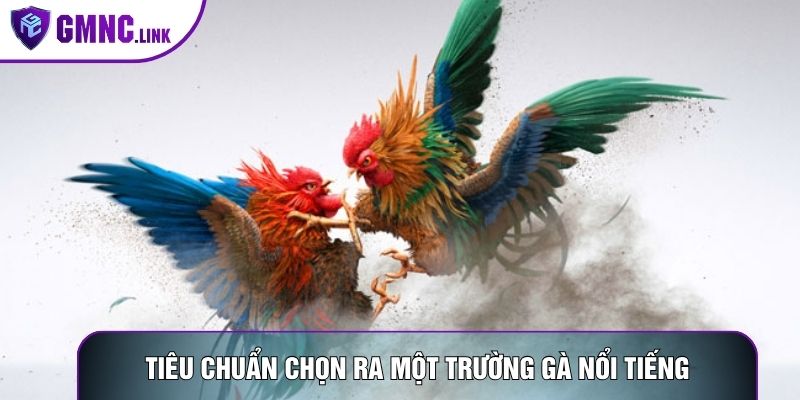 Tiêu chuẩn chọn ra một trường gà nổi tiếng